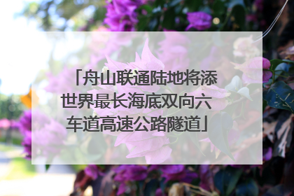 舟山联通陆地将添世界最长海底双向六车道高速公路隧道