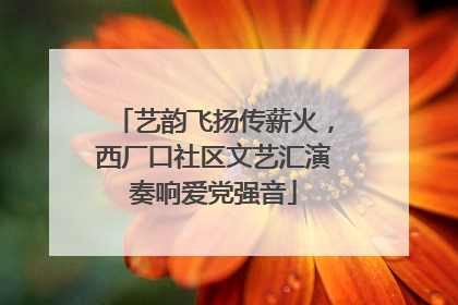 艺韵飞扬传薪火，西厂口社区文艺汇演奏响爱党强音