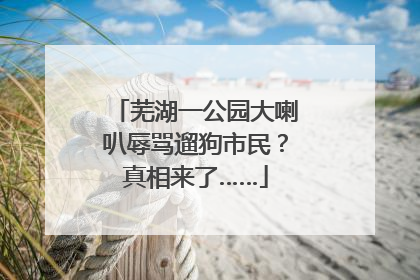 芜湖一公园大喇叭辱骂遛狗市民？真相来了……