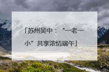 苏州吴中：“一老一小”共享浓情端午