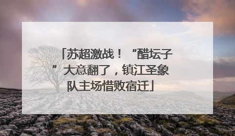 苏超激战！“醋坛子”大意翻了，镇江圣象队主场惜败宿迁