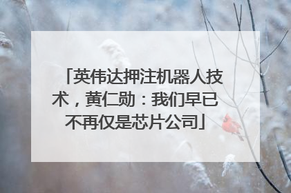 英伟达押注机器人技术，黄仁勋：我们早已不再仅是芯片公司