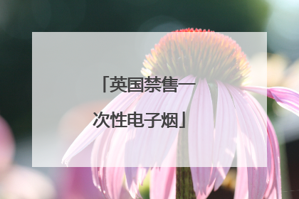 英国禁售一次性电子烟