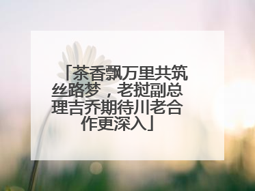 茶香飘万里共筑丝路梦，老挝副总理吉乔期待川老合作更深入
