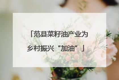范县菜籽油产业为乡村振兴“加油”