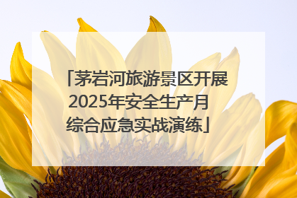 茅岩河旅游景区开展2025年安全生产月综合应急实战演练