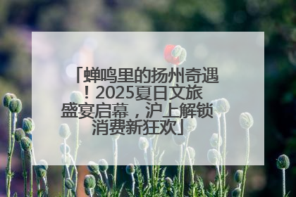 蝉鸣里的扬州奇遇！2025夏日文旅盛宴启幕，沪上解锁消费新狂欢