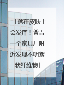 落在皮肤上会发痒！普吉一个家具厂附近发现不明絮状纤维物