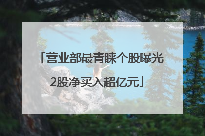 营业部最青睐个股曝光 2股净买入超亿元