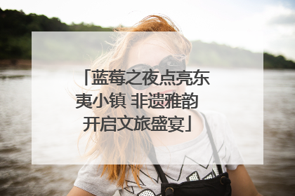 蓝莓之夜点亮东夷小镇 非遗雅韵开启文旅盛宴