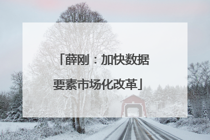 薛刚：加快数据要素市场化改革