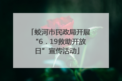 蛟河市民政局开展“6．19救助开放日”宣传活动