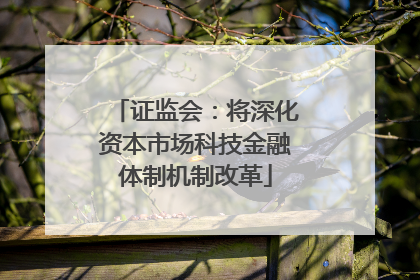 证监会：将深化资本市场科技金融体制机制改革