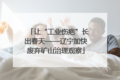 让“工业伤疤”长出春天——辽宁加快废弃矿山治理观察
