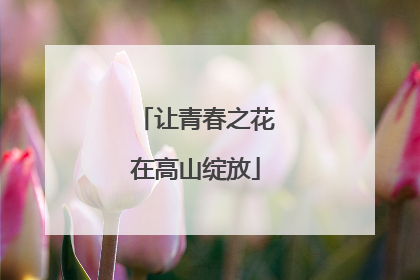 让青春之花在高山绽放