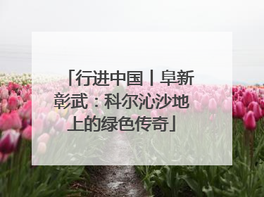 行进中国丨阜新彰武：科尔沁沙地上的绿色传奇
