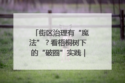 街区治理有“魔法”？看梧桐树下的“破圈”实践｜我在街区当书记