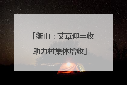 衡山：艾草迎丰收 助力村集体增收