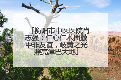 衡阳市中医医院肖志强：仁心仁术播撒中非友谊，岐黄之光照亮津巴大地