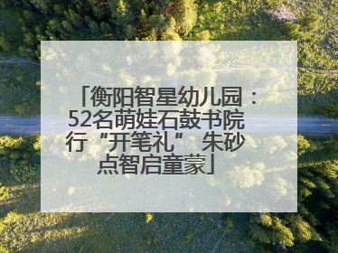 衡阳智星幼儿园：52名萌娃石鼓书院行“开笔礼” 朱砂点智启童蒙