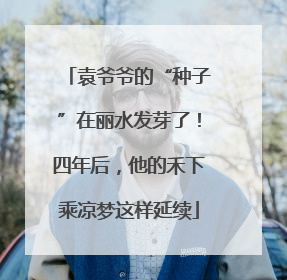 袁爷爷的“种子”在丽水发芽了！四年后，他的禾下乘凉梦这样延续