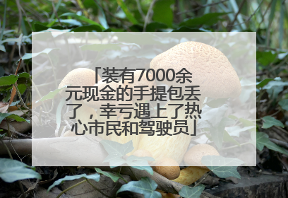 装有7000余元现金的手提包丢了，幸亏遇上了热心市民和驾驶员