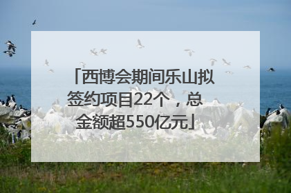西博会期间乐山拟签约项目22个，总金额超550亿元