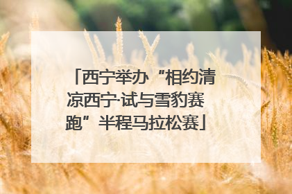 西宁举办“相约清凉西宁·试与雪豹赛跑”半程马拉松赛