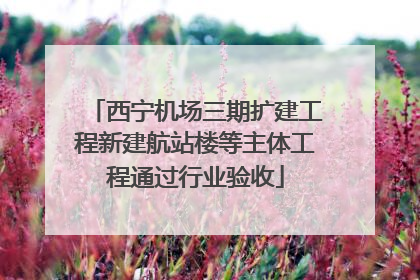 西宁机场三期扩建工程新建航站楼等主体工程通过行业验收