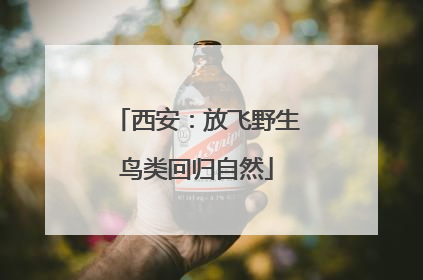 西安：放飞野生鸟类回归自然