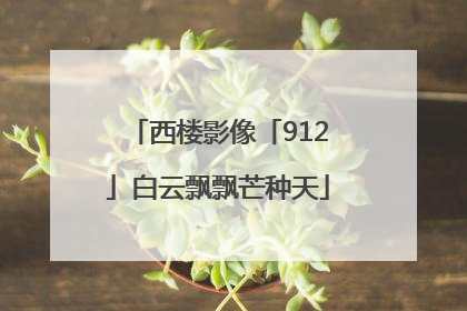 西楼影像「912」白云飘飘芒种天