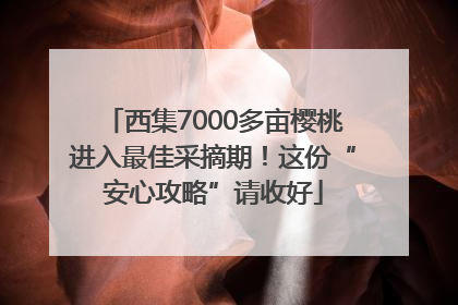 西集7000多亩樱桃进入最佳采摘期！这份“安心攻略”请收好