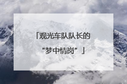 观光车队队长的“梦中情岗”