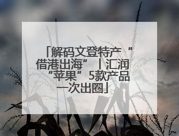 解码文登特产“借港出海”丨汇润“苹果”5款产品一次出圈