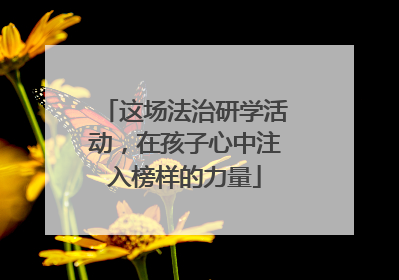 这场法治研学活动，在孩子心中注入榜样的力量