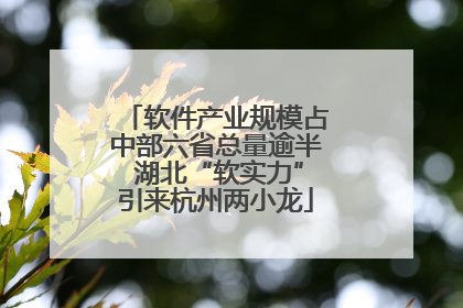 软件产业规模占中部六省总量逾半 湖北“软实力”引来杭州两小龙
