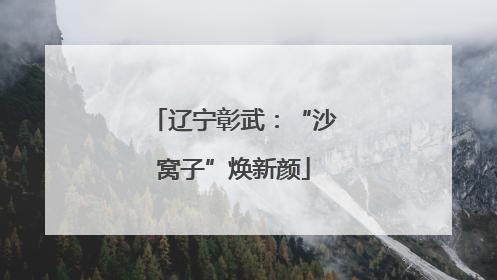 辽宁彰武：“沙窝子”焕新颜