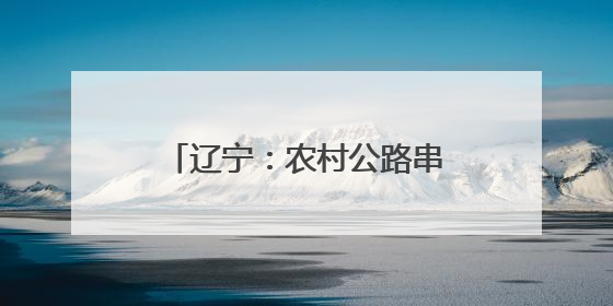 辽宁：农村公路串联起群众致富希望