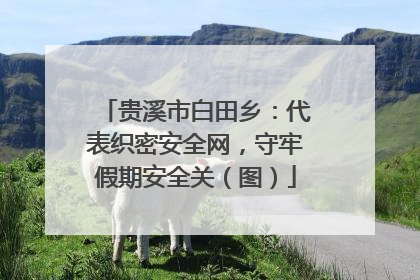 贵溪市白田乡：代表织密安全网，守牢假期安全关（图）