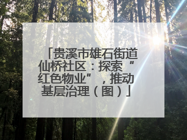 贵溪市雄石街道仙桥社区：探索“红色物业”，推动基层治理（图）