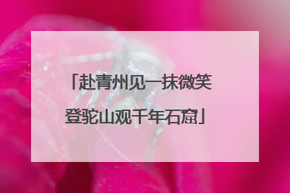 赴青州见一抹微笑 登驼山观千年石窟