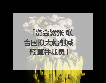 资金紧张 联合国拟大幅削减预算并裁员