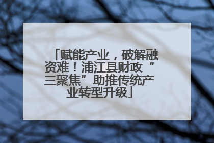 赋能产业，破解融资难！浦江县财政“三聚焦”助推传统产业转型升级
