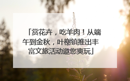 赏花卉，吃羊肉！从端午到金秋，叶榭镇推出丰富文旅活动邀您爽玩
