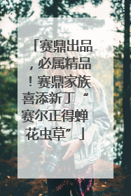 赛鼎出品，必属精品！赛鼎家族喜添新丁“赛尔正得蝉花虫草”