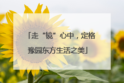 走“镜”心中，定格豫园东方生活之美