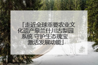 走近全球重要农业文化遗产皋兰什川古梨园系统 守护生态瑰宝 激活发展动能