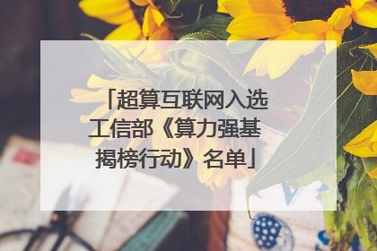 超算互联网入选工信部《算力强基揭榜行动》名单