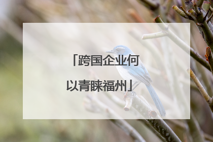 跨国企业何以青睐福州
