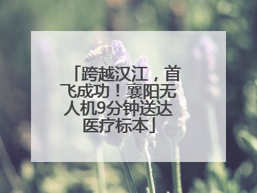 跨越汉江，首飞成功！襄阳无人机9分钟送达医疗标本